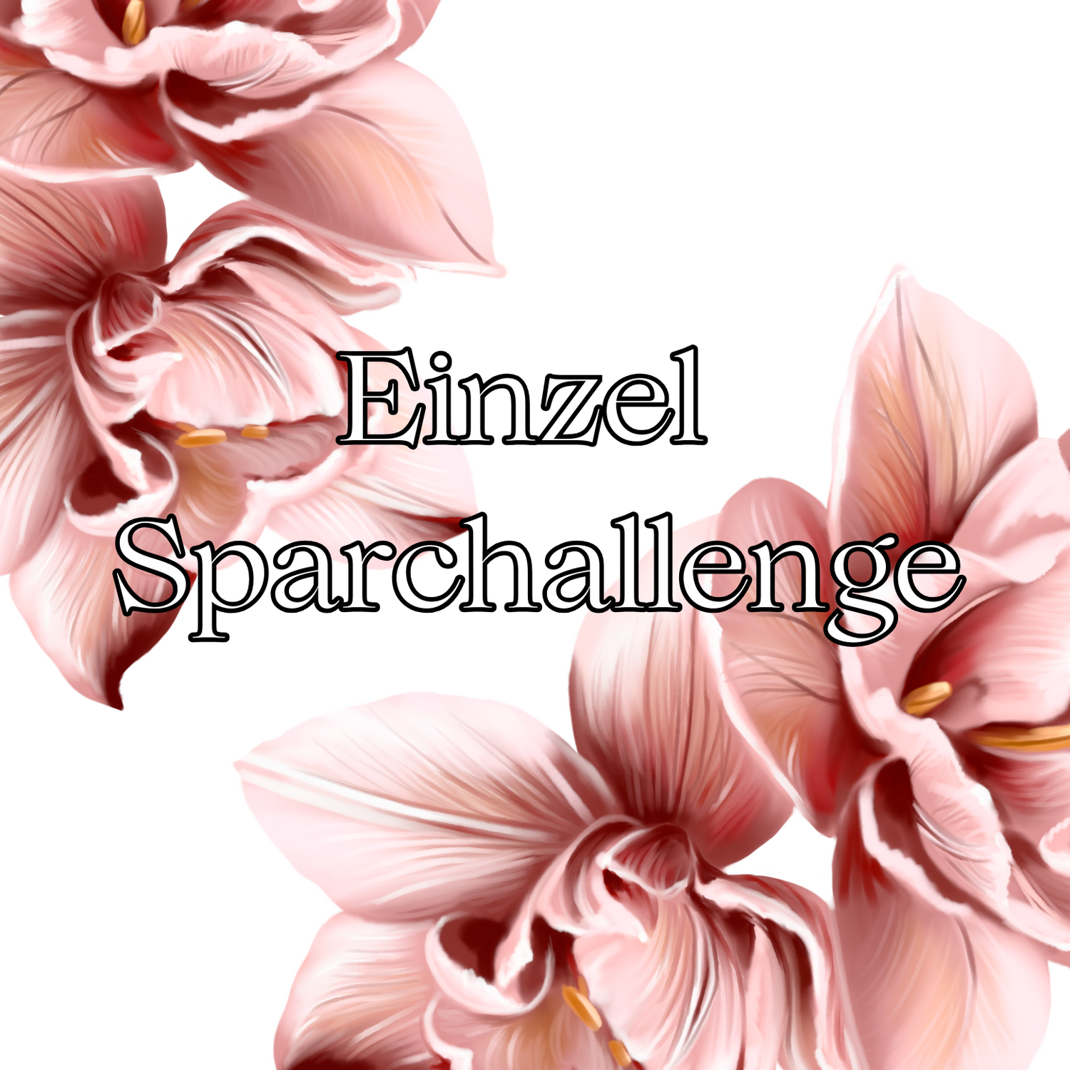 Einzel Sparchallenge